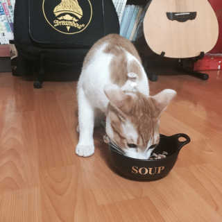 예봄님이 올린 리뷰 사진 3