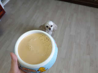 SohyeonLee님이 올린 리뷰 사진 4