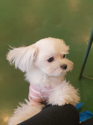 야딩님이 올린 리뷰 사진 4