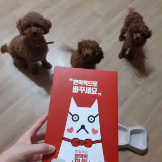 seni님이 올린 리뷰 사진 1
