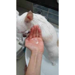 이선영님이 올린 리뷰 사진 3