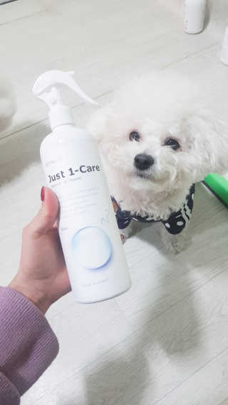 [펫토리아] 뚝딱케어 강아지 고양이 다목적세정제 — 5점을 준 리뷰어가 2020년 2월 올린 사용 사진