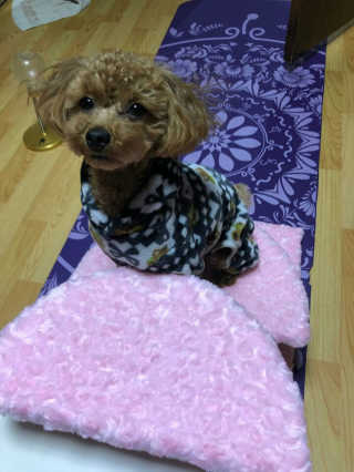 반진님이 올린 리뷰 사진 1