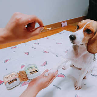 김유리님이 올린 리뷰 사진 2