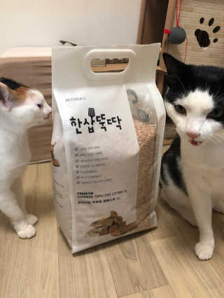 [펫토리아]한삽뚝딱 프리미엄 고양이 두부모래 — 5점을 준 리뷰어가 2019년 8월 올린 사용 사진