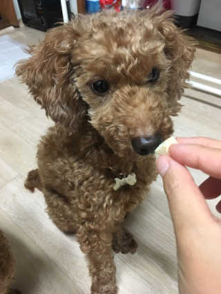 쥬비몬님이 올린 리뷰 사진 1