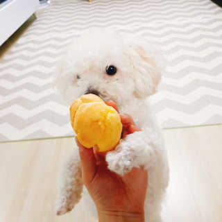 주여니이님이 올린 리뷰 사진 4