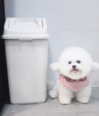 창신리빙 프랑코 퍼블릭 스윙 휴지통 10L, 25L, 35L — 5점을 준 리뷰어가 2019년 9월 올린 사용 사진