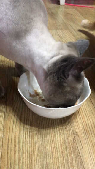ahn_ssong님이 올린 리뷰 사진 3