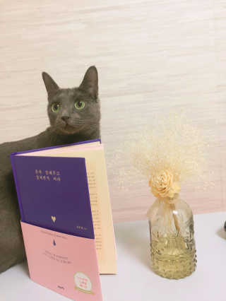 경던님이 올린 리뷰 사진 1