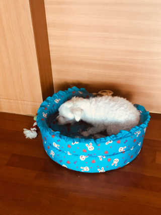 짱아님이 올린 리뷰 사진 3