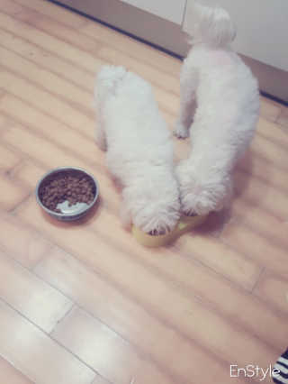 지영님이 올린 리뷰 사진 1