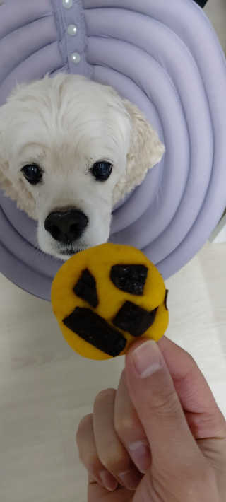 멋쟁이지휘관님이 올린 리뷰 사진 3