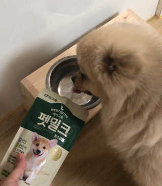 [빙그레] 에버그로 생유산균 1봉（10포입）+펫밀크2팩 — 5점을 준 리뷰어가 2019년 5월 올린 사용 사진