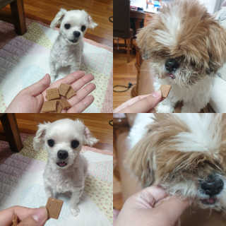 랄라나미님이 올린 리뷰 사진 1