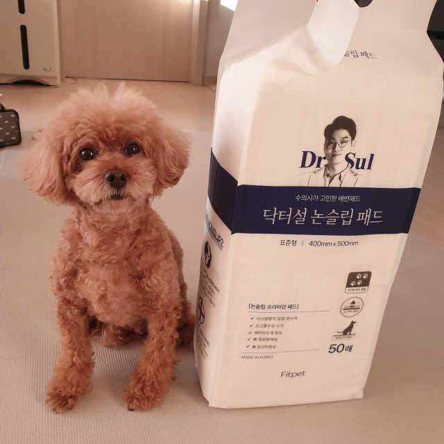 닥터설 논슬립 패드 리뷰 사진