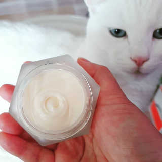 오지아이 마누카 허니 딥 케어 크림 50ml — 5점을 준 리뷰어가 2019년 12월 올린 사용 사진