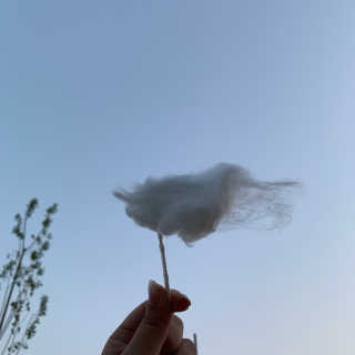 히쁘님이 올린 리뷰 사진 3