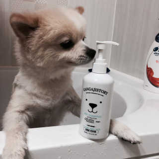 까눌렝님이 올린 리뷰 사진 1