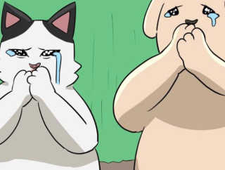 토모토끼 하이드랄라 미스티폼 — 4.5점을 준 리뷰어가 2019년 9월 올린 사용 사진