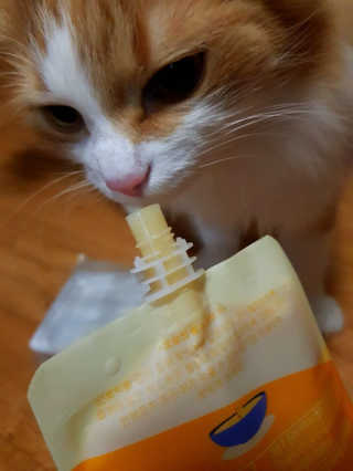 꽃재은님이 올린 리뷰 사진 4