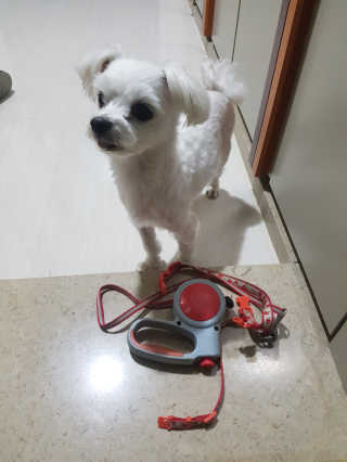 랑이님이 올린 리뷰 사진 2