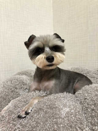 한지님이 올린 리뷰 사진 3