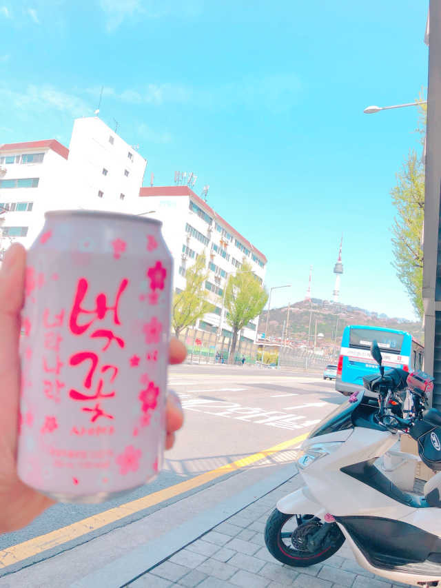 너랑나랑 벚꽃사이다 리뷰 사진