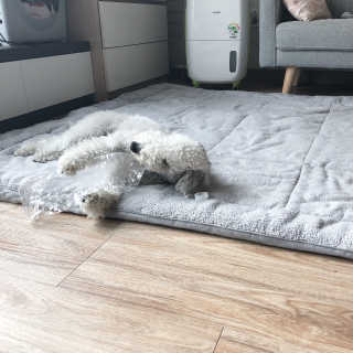 MaryChoi님이 올린 리뷰 사진 3