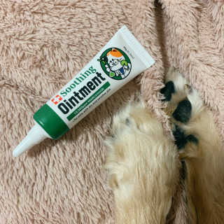 별해달님이 올린 리뷰 사진 1