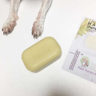 J일상님이 올린 리뷰 사진 1