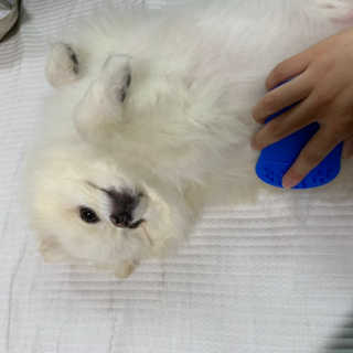 융이님이 올린 리뷰 사진 4