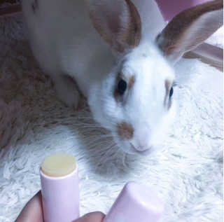 WonChu님이 올린 리뷰 사진 3
