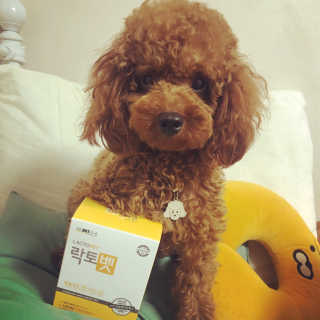 칸쵸님이 올린 리뷰 사진 1