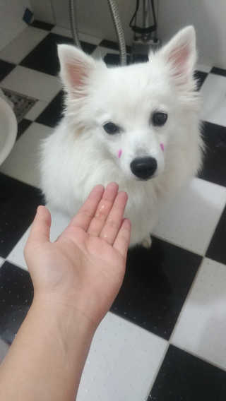 EunJeongKong님이 올린 리뷰 사진 3
