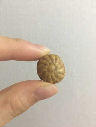dingdorii님이 올린 리뷰 사진 3