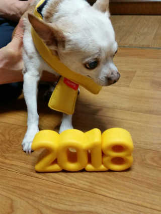 나는야님이 올린 리뷰 사진 2