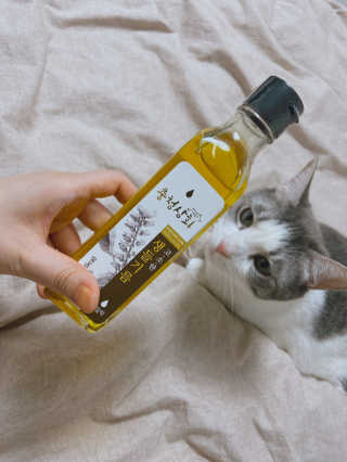 앨토리님이 올린 리뷰 사진 1
