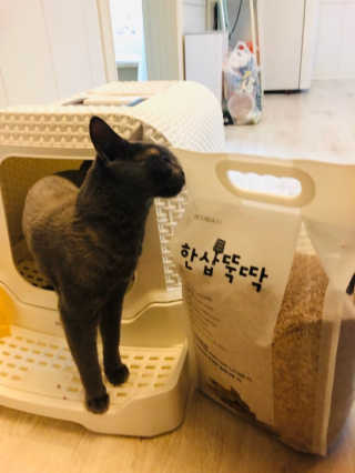 JiyounKim님이 올린 리뷰 사진 3