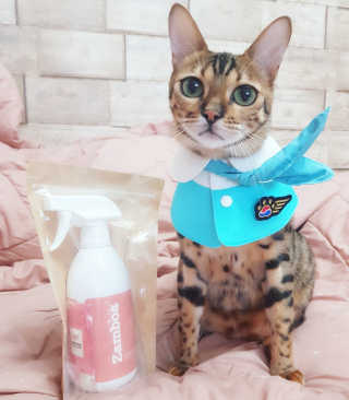 효니님이 올린 리뷰 사진 1