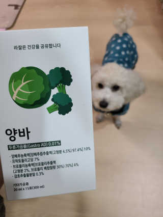 라잘코리아 건강한 다이어트, 양배추 다이어트 양바~ — 3.5점을 준 리뷰어가 2020년 3월 올린 사용 사진
