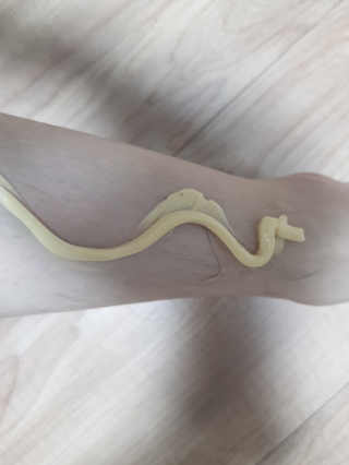하진맘님이 올린 리뷰 사진 2