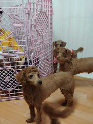 무지개둥이네님이 올린 리뷰 사진 4