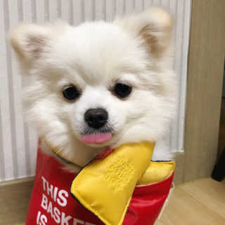 박수진님이 올린 리뷰 사진 3