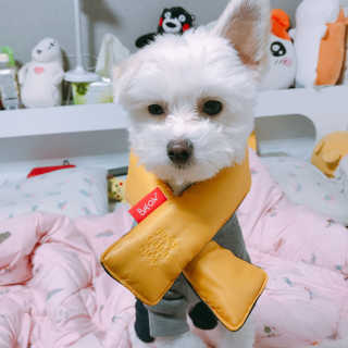 수톨님이 올린 리뷰 사진 1