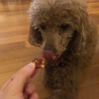[펫토리아] 뚝딱뚝딱 400g 강아지 간식 베스트5종 — 5점을 준 리뷰어가 2019년 1월 올린 사용 사진
