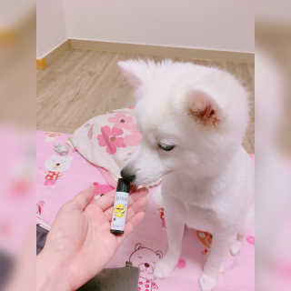 뿌꾸님이 올린 리뷰 사진 2
