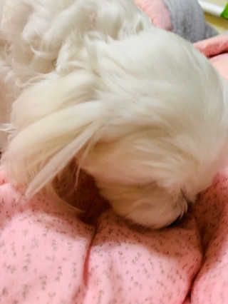 뿌잉꾸님이 올린 리뷰 사진 2