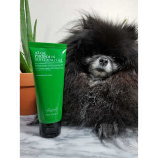 Peepingpomeranian님이 올린 리뷰 사진 1