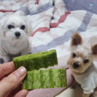 홍차어뭉님이 올린 리뷰 사진 1